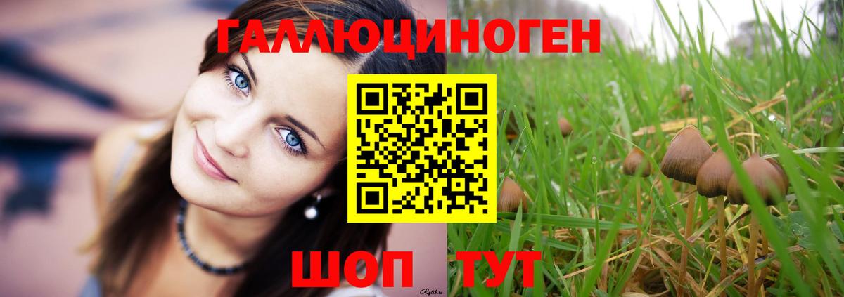 Псилоцибиновые грибы MAGIC MUSHROOMS  Вход с VPN  Псилоцибиновые грибы Psilocybe  Тейково 