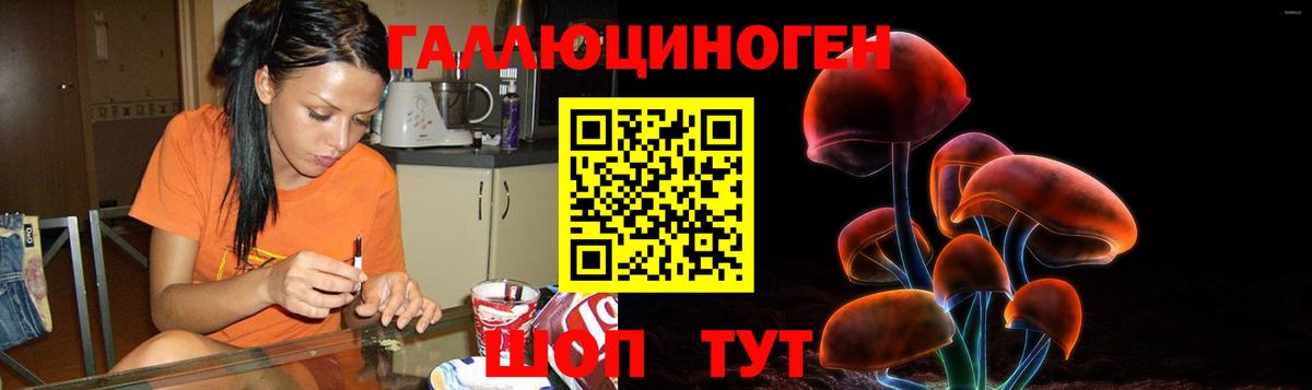 Галлюциногенные грибы Cubensis Тейково